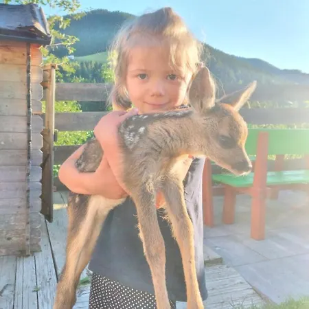 Familie Webhofer Appartamento *