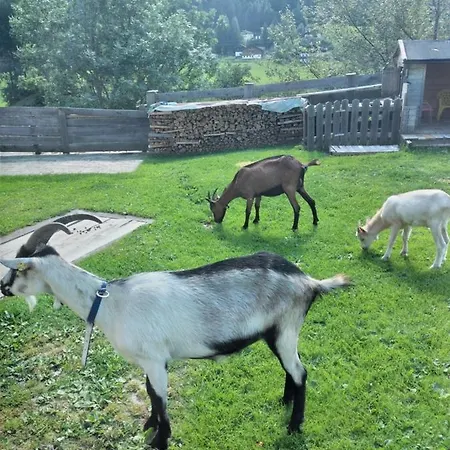 Appartamento Familie Webhofer