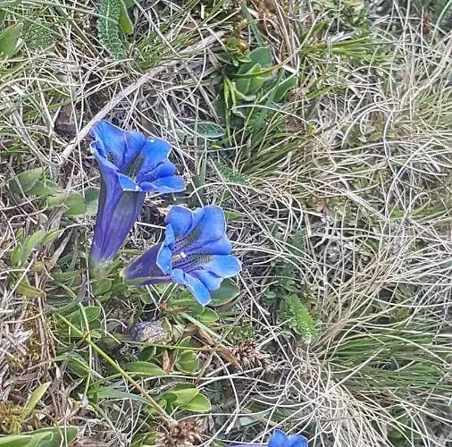 Familie Webhofer * Kartitsch