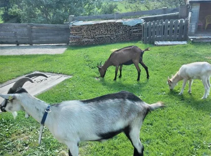 Lejlighed Familie Webhofer