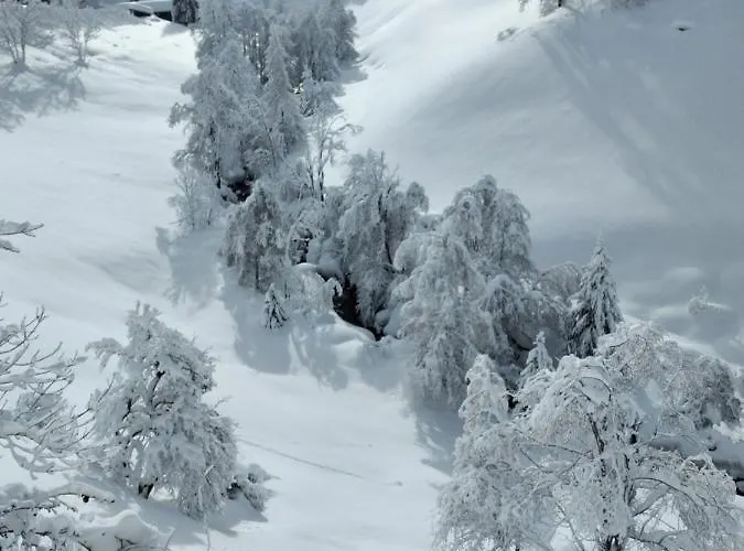 Appartement Familie Webhofer *