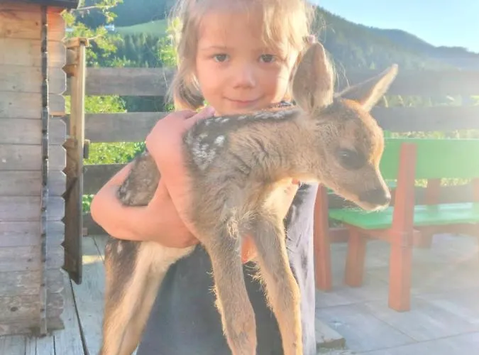 Familie Webhofer Appartement *